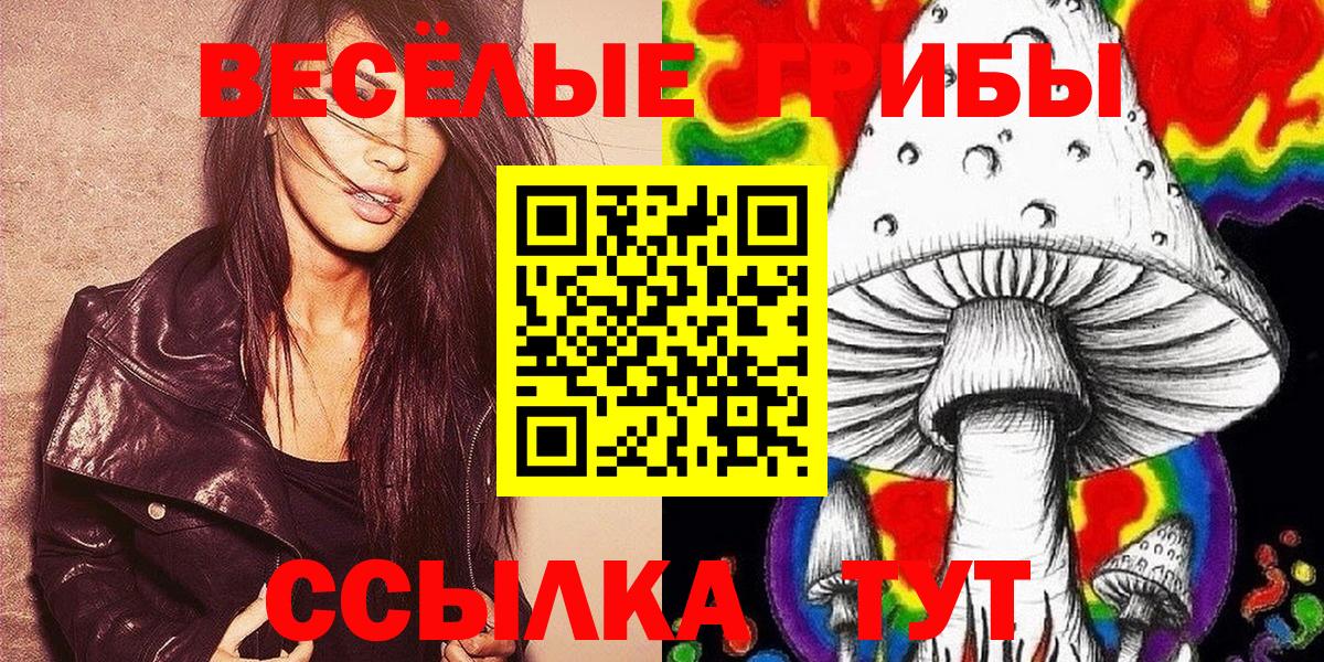 Галлюциногенные грибы мицелий  Вход с VPN  Отрадное 